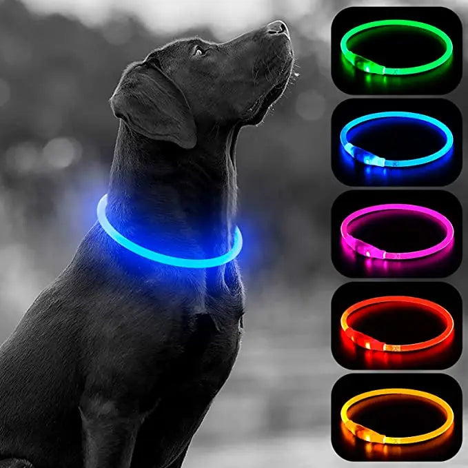 Collar luminoso LED para perro, collar con carga USB, intermitente, bricolaje, brillante, seguridad, antipérdida, accesorios para collar de perros y gatos