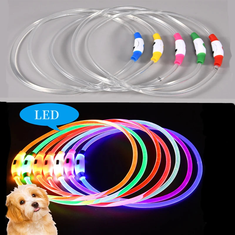 Collar luminoso LED para perro, collar con carga USB, intermitente, bricolaje, brillante, seguridad, antipérdida, accesorios para collar de perros y gatos