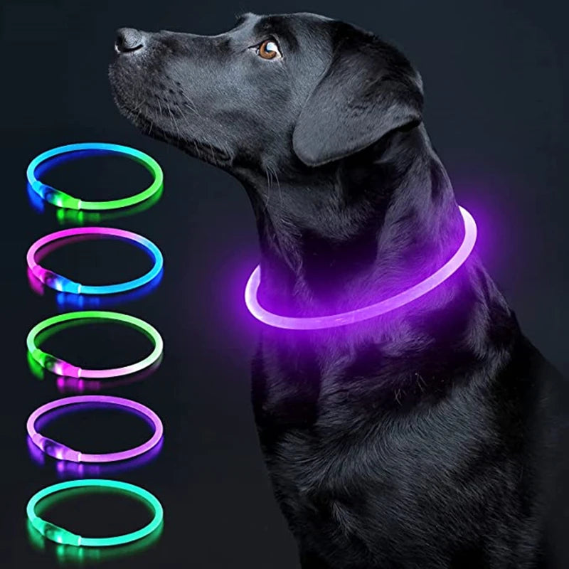 Collar luminoso LED para perro, collar con carga USB, intermitente, bricolaje, brillante, seguridad, antipérdida, accesorios para collar de perros y gatos