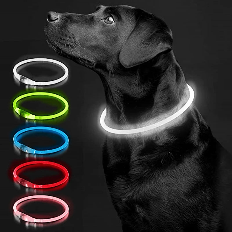 Collar luminoso LED para perro, collar con carga USB, intermitente, bricolaje, brillante, seguridad, antipérdida, accesorios para collar de perros y gatos