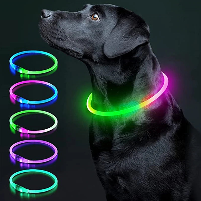 Collar luminoso LED para perro, collar con carga USB, intermitente, bricolaje, brillante, seguridad, antipérdida, accesorios para collar de perros y gatos