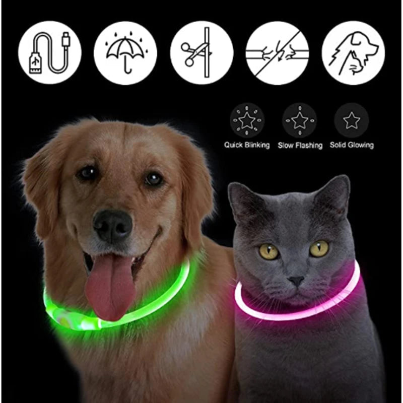 Collar luminoso LED para perro, collar con carga USB, intermitente, bricolaje, brillante, seguridad, antipérdida, accesorios para collar de perros y gatos