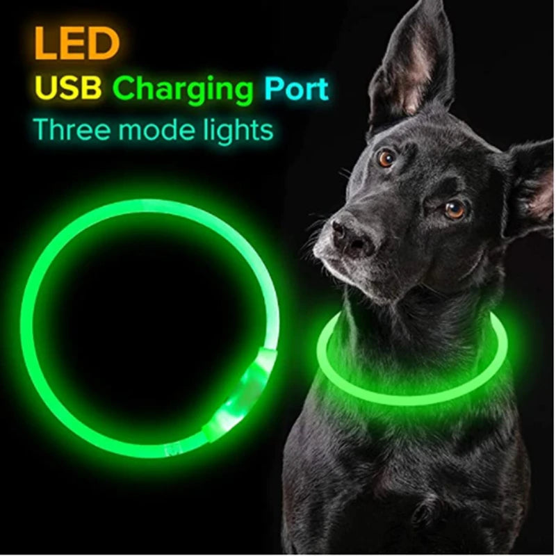 Collar luminoso LED para perro, collar con carga USB, intermitente, bricolaje, brillante, seguridad, antipérdida, accesorios para collar de perros y gatos