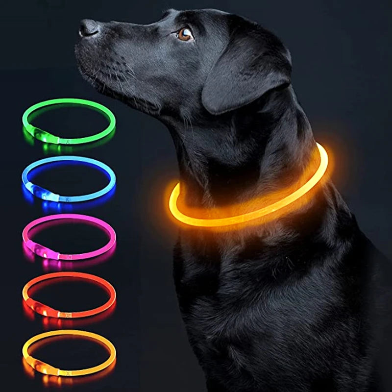 Collar luminoso LED para perro, collar con carga USB, intermitente, bricolaje, brillante, seguridad, antipérdida, accesorios para collar de perros y gatos