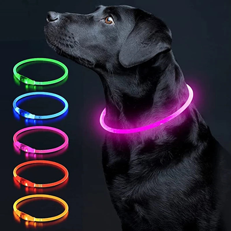 Collar luminoso LED para perro, collar con carga USB, intermitente, bricolaje, brillante, seguridad, antipérdida, accesorios para collar de perros y gatos