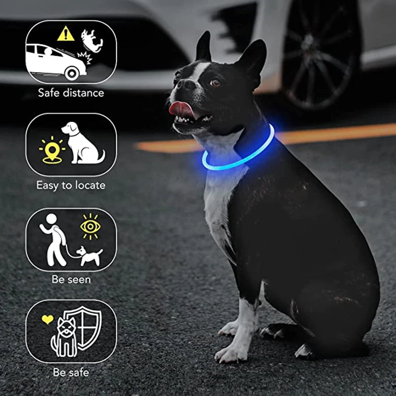 Collar luminoso LED para perro, collar con carga USB, intermitente, bricolaje, brillante, seguridad, antipérdida, accesorios para collar de perros y gatos