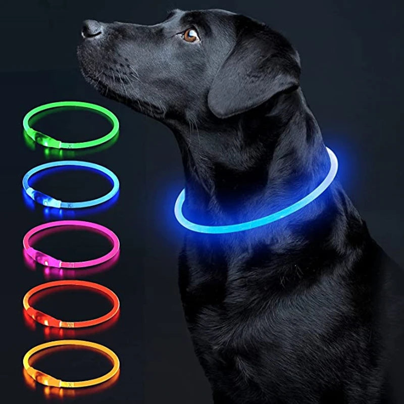 Collar luminoso LED para perro, collar con carga USB, intermitente, bricolaje, brillante, seguridad, antipérdida, accesorios para collar de perros y gatos