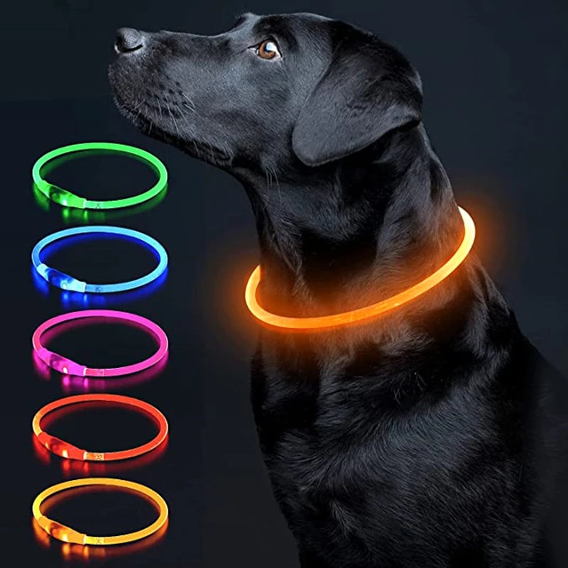 Collar luminoso LED para perro, collar con carga USB, intermitente, bricolaje, brillante, seguridad, antipérdida, accesorios para collar de perros y gatos