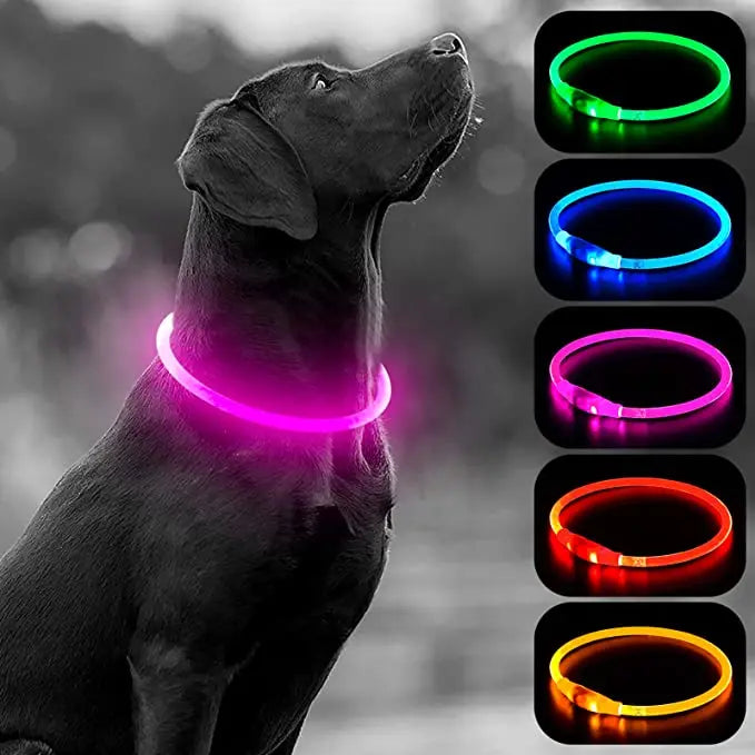 Collar luminoso LED para perro, collar con carga USB, intermitente, bricolaje, brillante, seguridad, antipérdida, accesorios para collar de perros y gatos