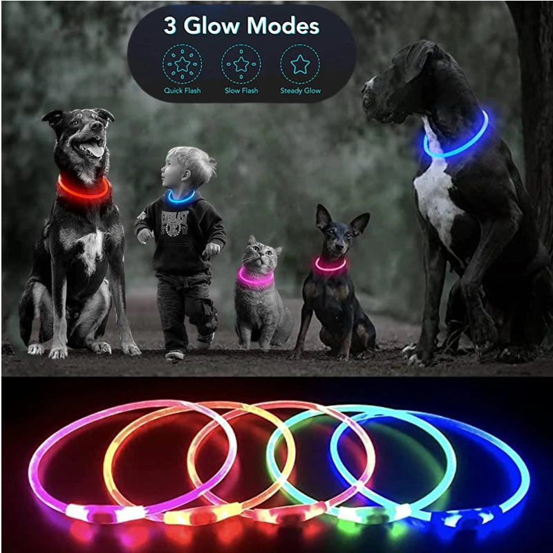 Collar luminoso LED para perro, collar con carga USB, intermitente, bricolaje, brillante, seguridad, antipérdida, accesorios para collar de perros y gatos