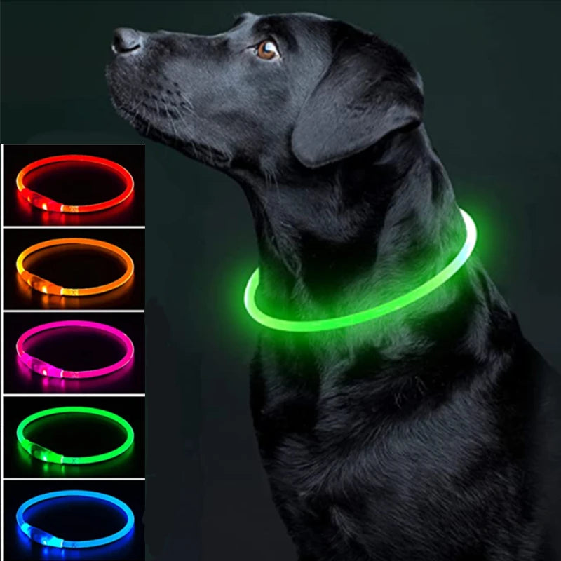 Collar luminoso LED para perro, collar con carga USB, intermitente, bricolaje, brillante, seguridad, antipérdida, accesorios para collar de perros y gatos